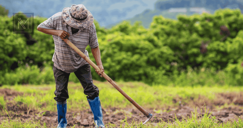aposentadoria rural em 2026