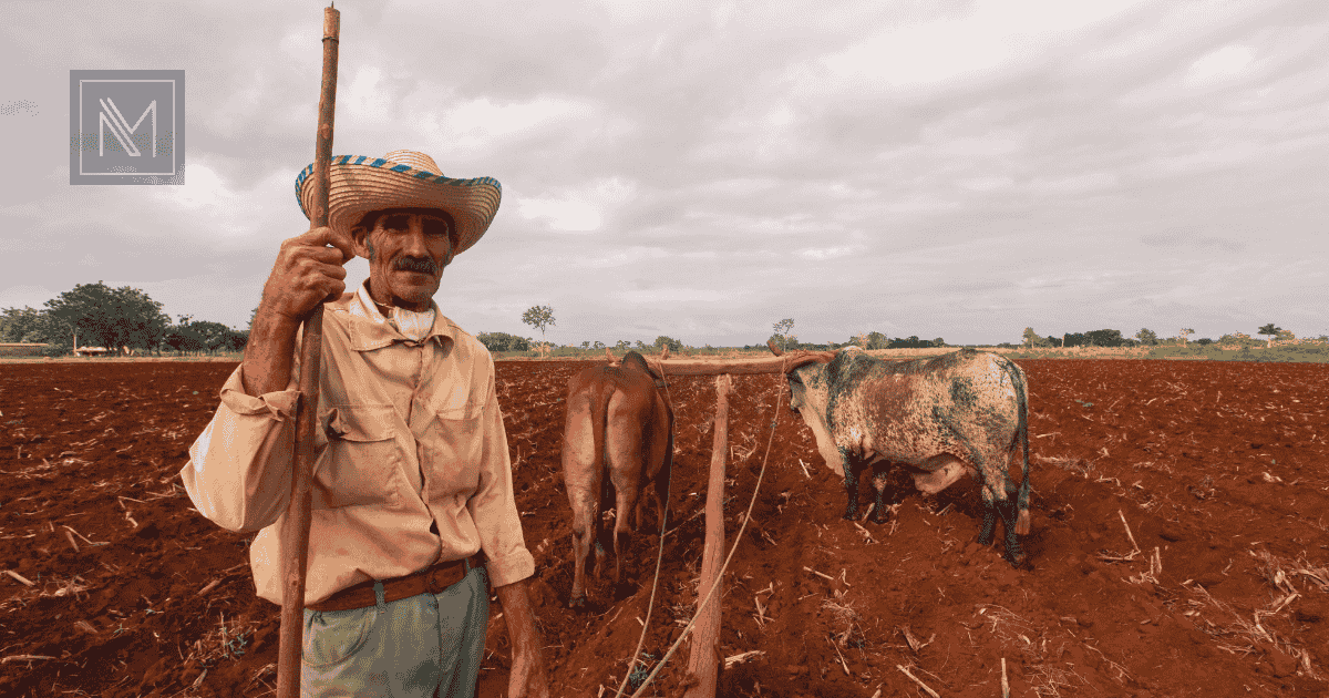 aposentadoria rural em 2026