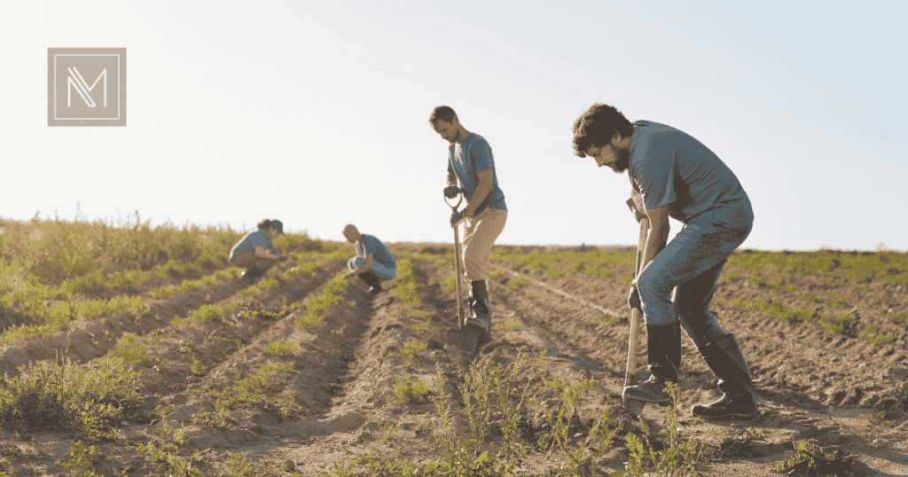 comprovar a atividade rural em 2026