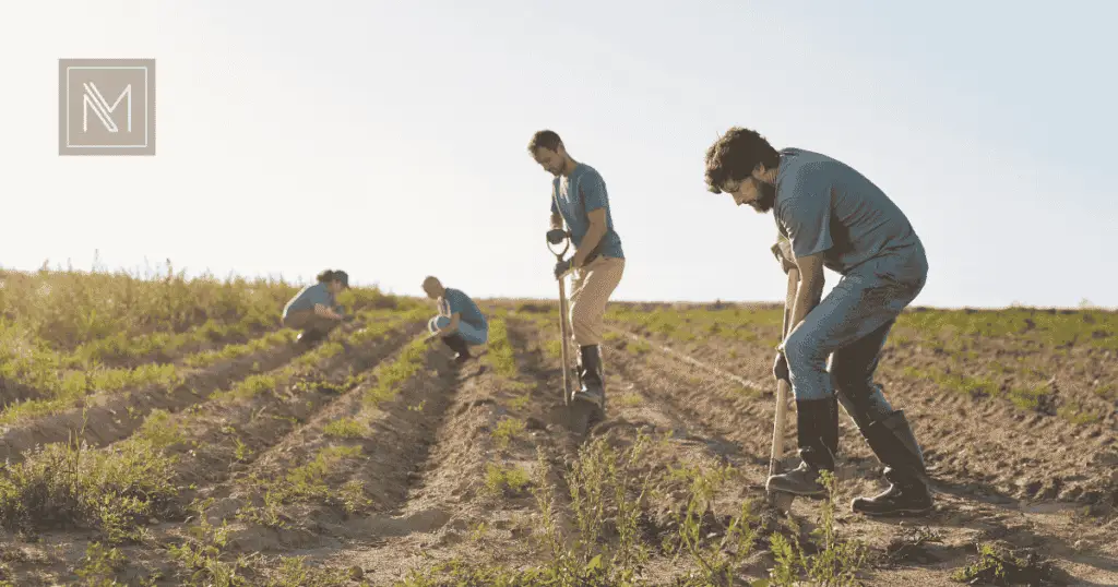comprovar a atividade rural em 2026